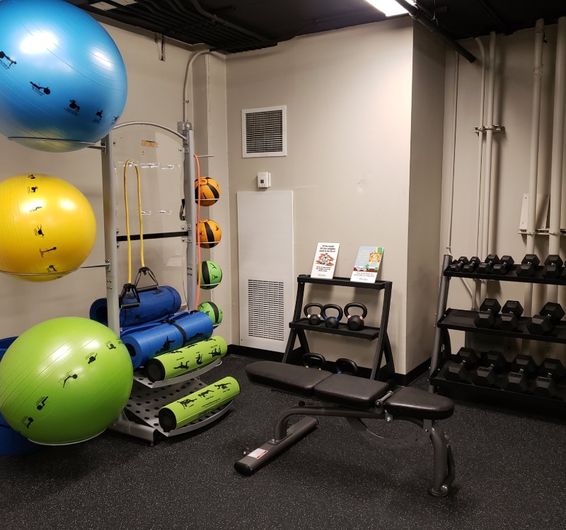 Free weights and medicine balls