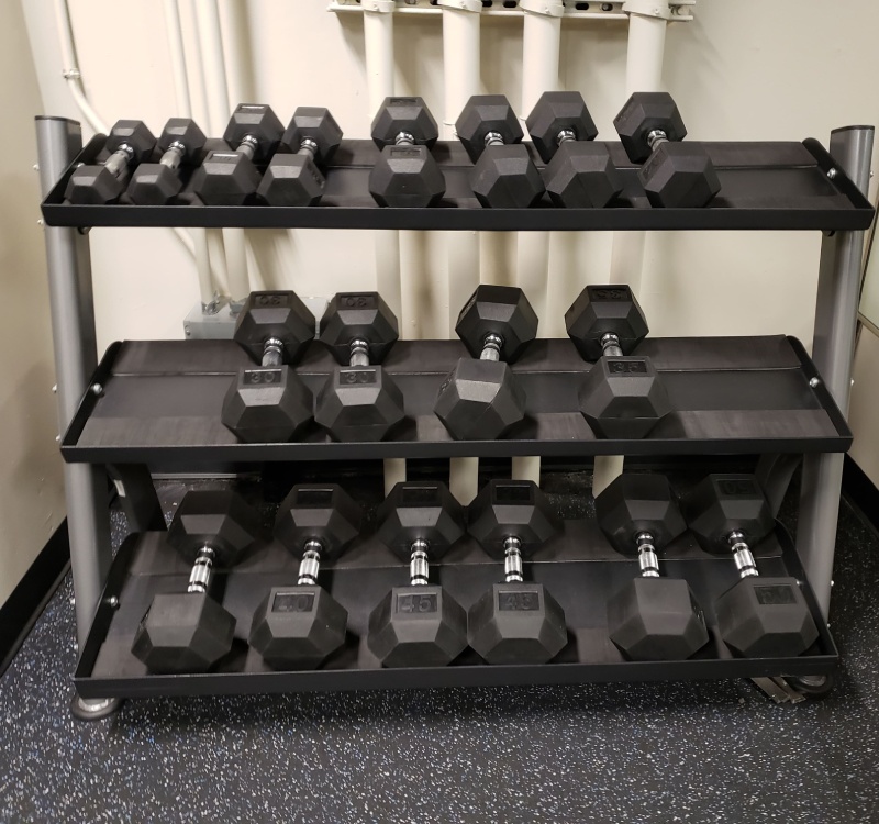 Free weight rack